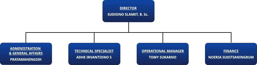 Organization Structure